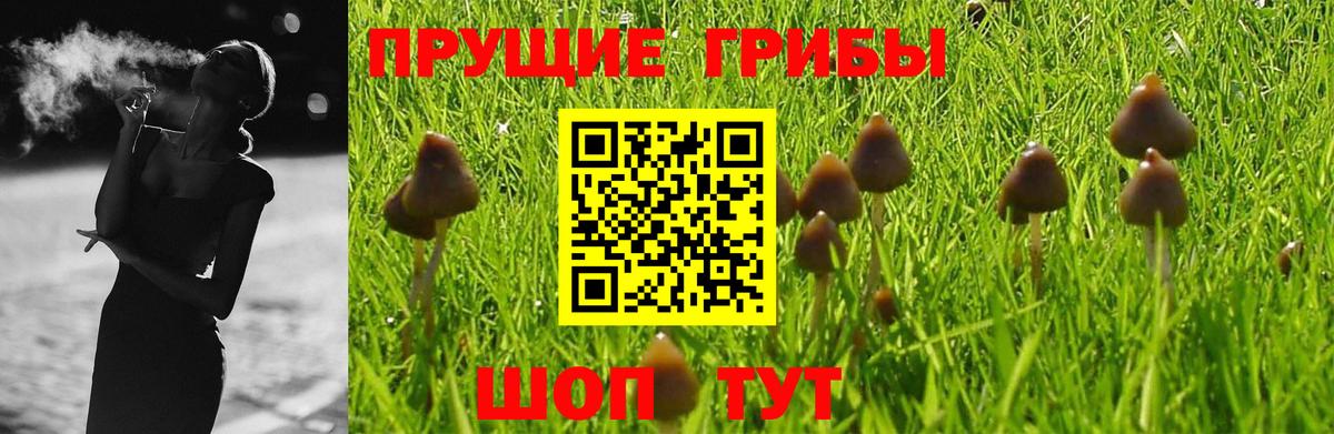 Псилоцибиновые грибы Magic Shrooms  Вход с VPN  Казань 