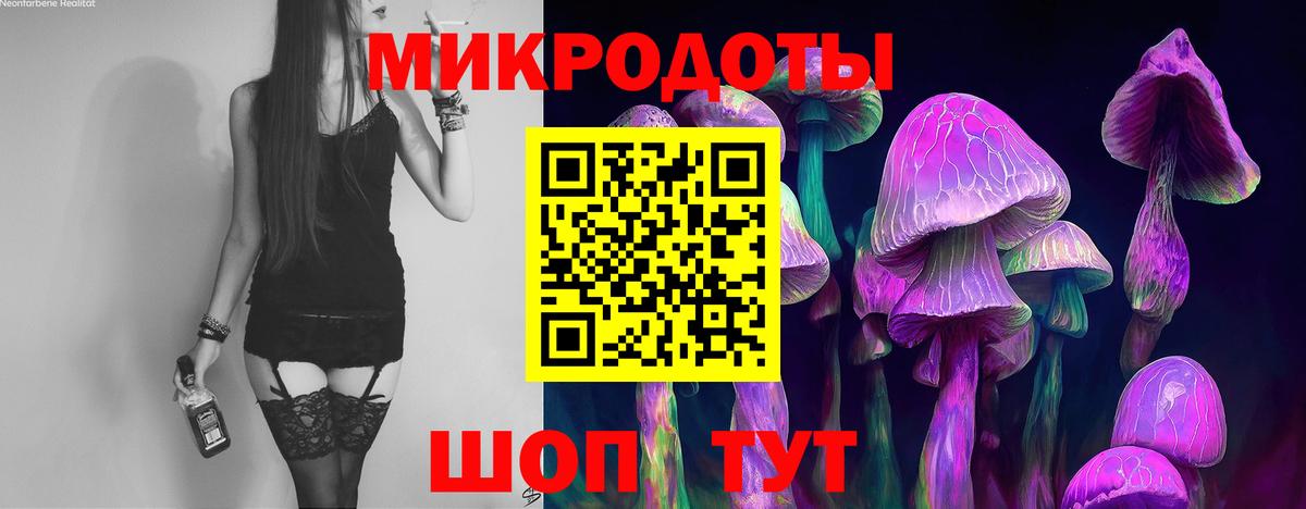 Галлюциногенные грибы Cubensis Казань